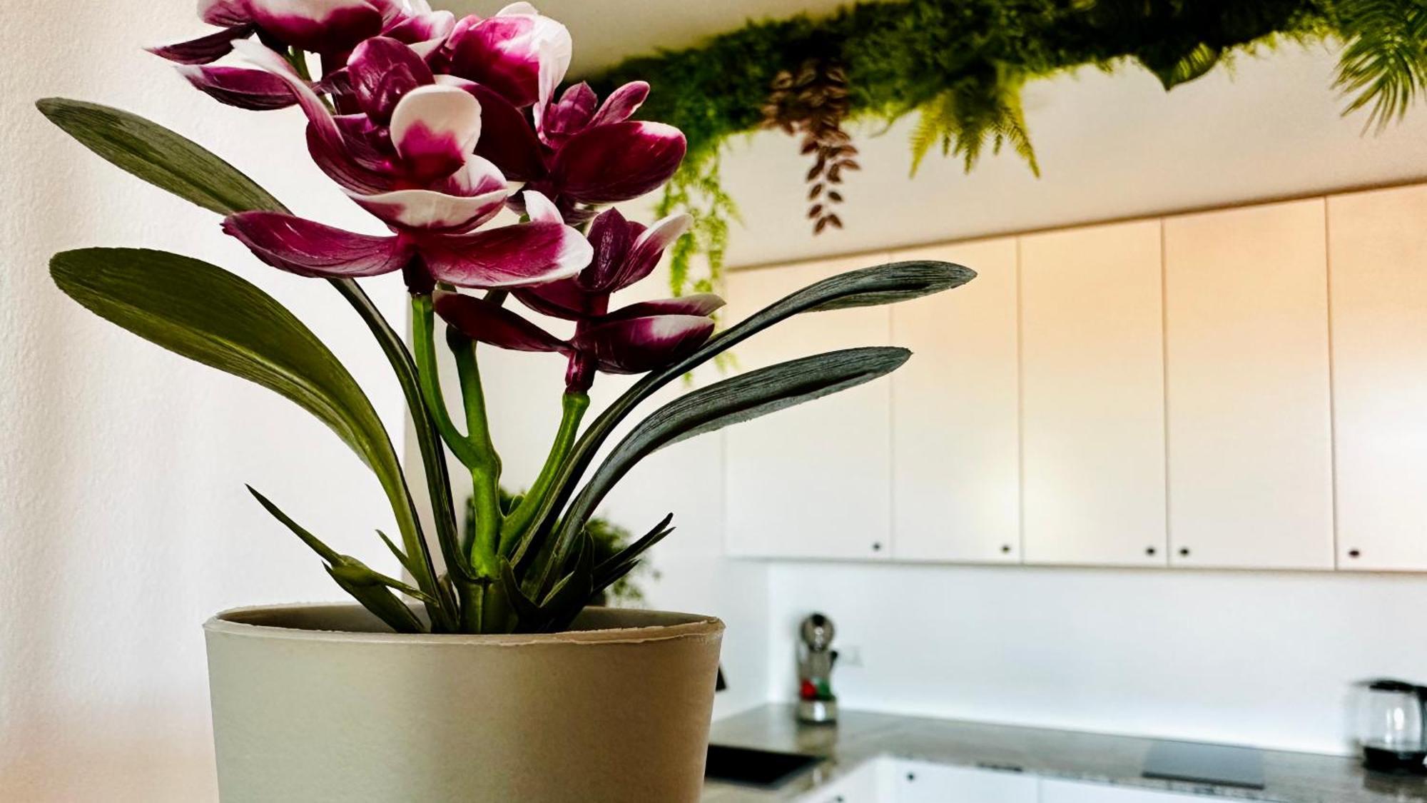 Garden Of Eden Modern Apartments - Apartello,Com Sveti Vlas Extérieur photo
